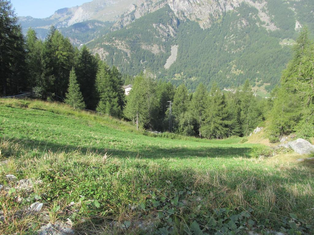 Cervino Valley House Rododendro Breuil-Cervinia Ruang foto